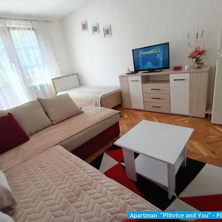 Apartman "Plitvice And You" Apartment Plitvicka Jezera Exterior photo